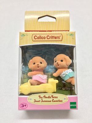 Toy Poodle Twins