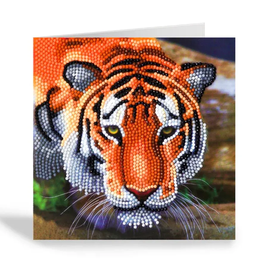 CA Card Kit: Tiger