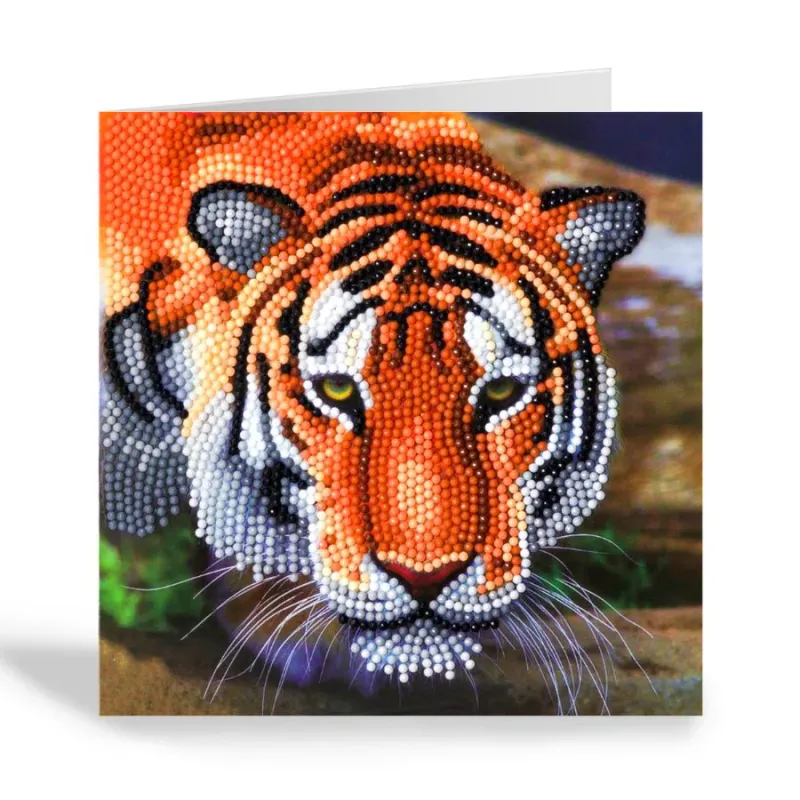 CA Card Kit: Tiger