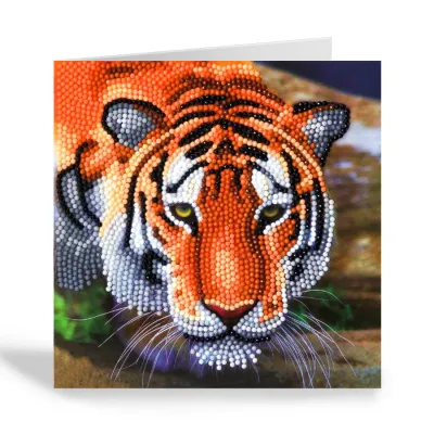 CA Card Kit: Tiger