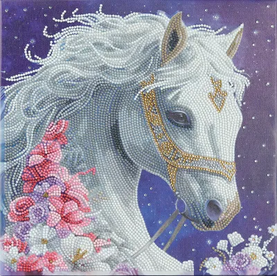 CA Mounted Kit Med: Mystic Beauty