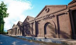 TOUR BODEGAS + OLVÍCOLA MAIPÚ