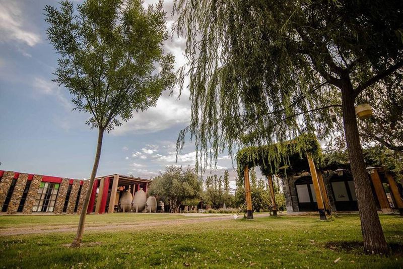 BODEGAS MAIPÚ II