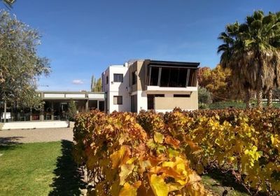TOUR 3 EN 1: Bodega + Cacheuta + Almuerzo en Potrerillos
