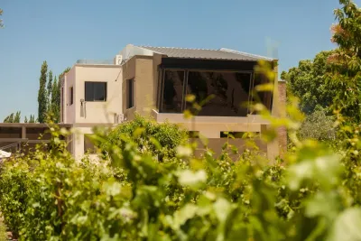 TOUR 3 EN 1: Bodega + Cacheuta + Almuerzo en Potrerillos