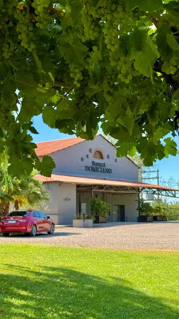 TOUR BODEGAS + OLVÍCOLA MAIPÚ