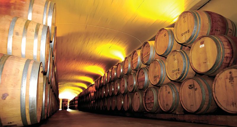 Tour de bodegas