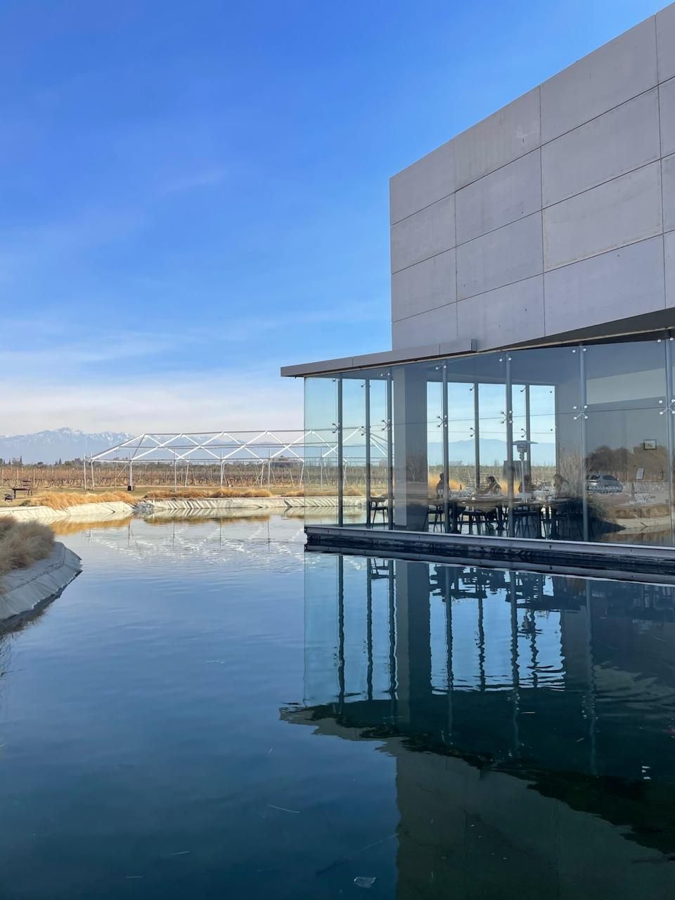 BODEGAS MAIPÚ FULL DAY