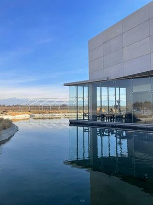 BODEGAS MAIPÚ FULL DAY