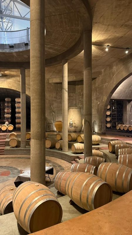 BODEGAS VALLE DE UCO CLÁSICO