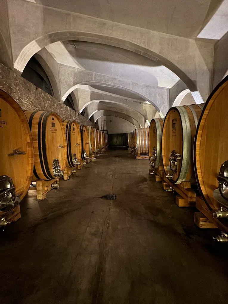 BODEGAS VALLE DE UCO PREMIUM