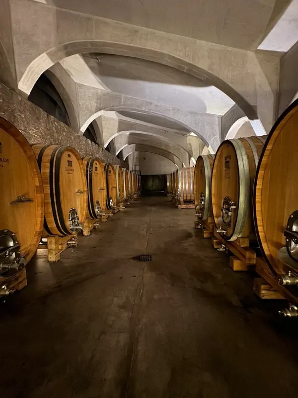 BODEGAS VALLE DE UCO PREMIUM