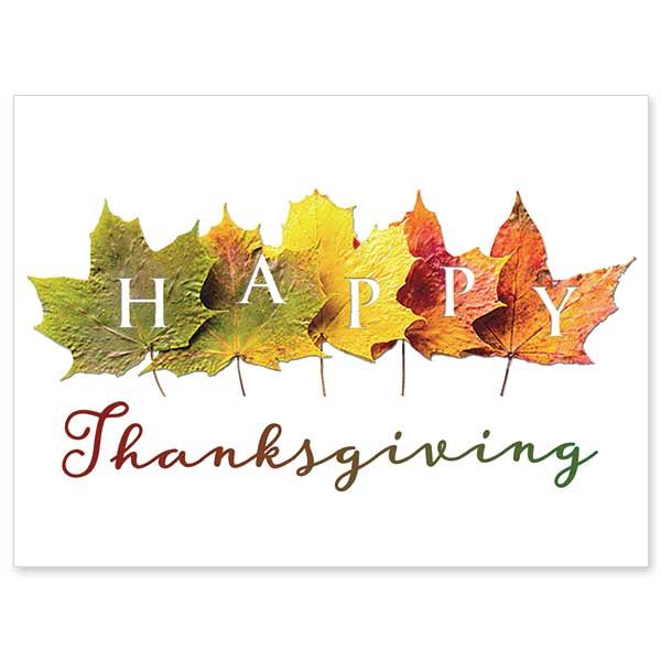      CA50150 Happy Thanksgiving