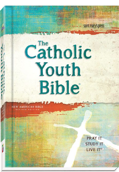      4153 The Catholic Youth Bible NAB
