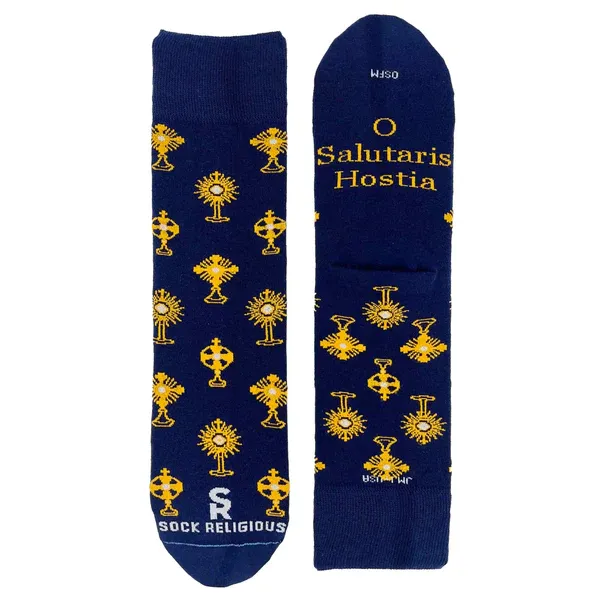      SR0827 Monstrance Sock Religious