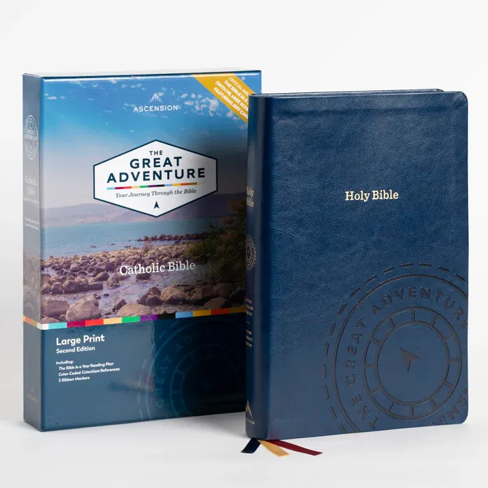      Great Adventure Large Print Bible Leather Bound
