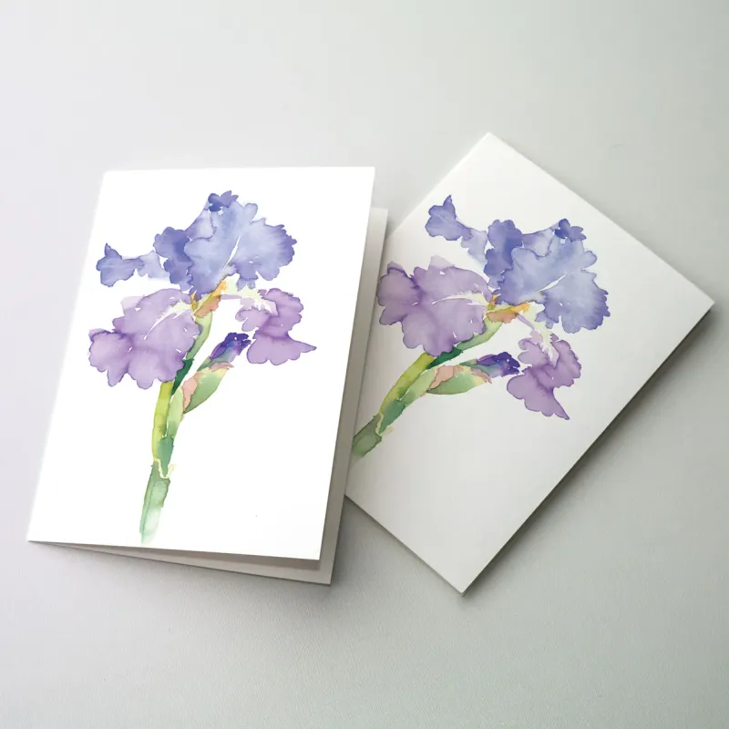      PN73 Petite Notes Iris