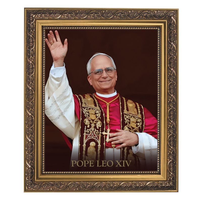       79-805 Pope Leo Framed