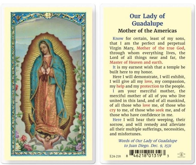         Our Lady of Guadalupe Mother of Americas Holy Card E24-218 (800-283)