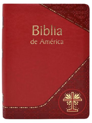 610/19BGS Biblia de America