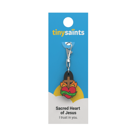        Sacred Heart of Jesus Tiny Saints 0167
