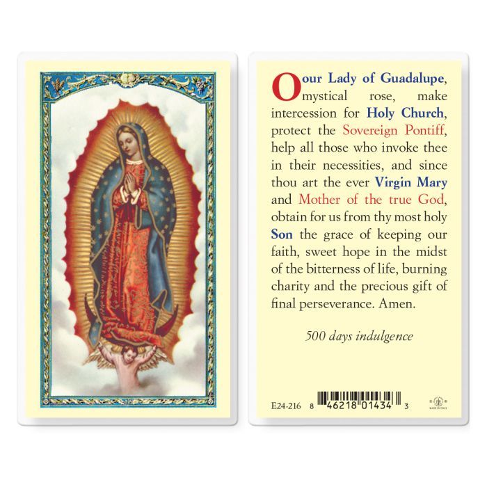 Prayer to Our Lady of Guadalupe Holy Card E24-216 (800-105)