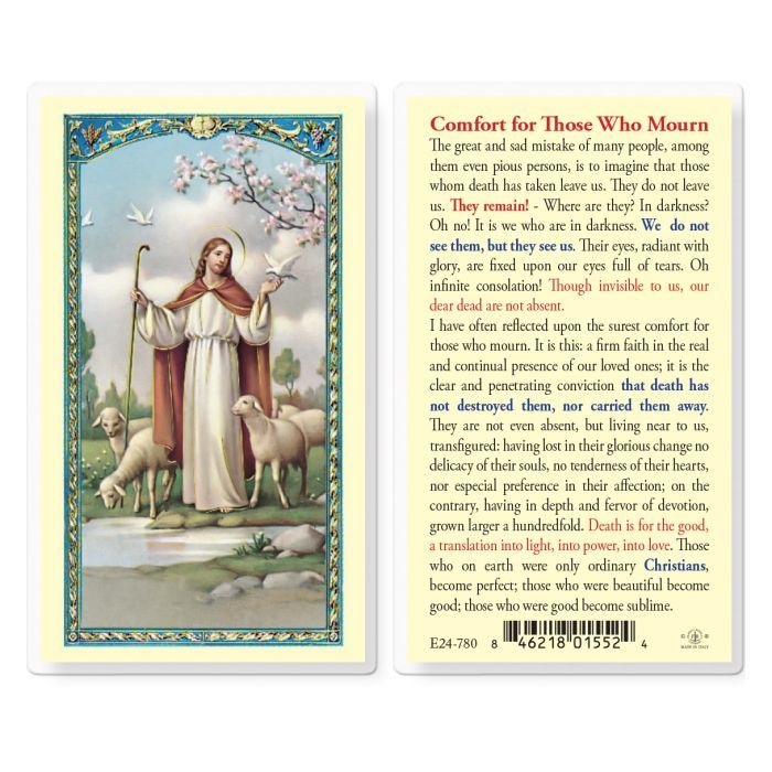 E24-780 Comfort for Those Who Mourn Holy Card