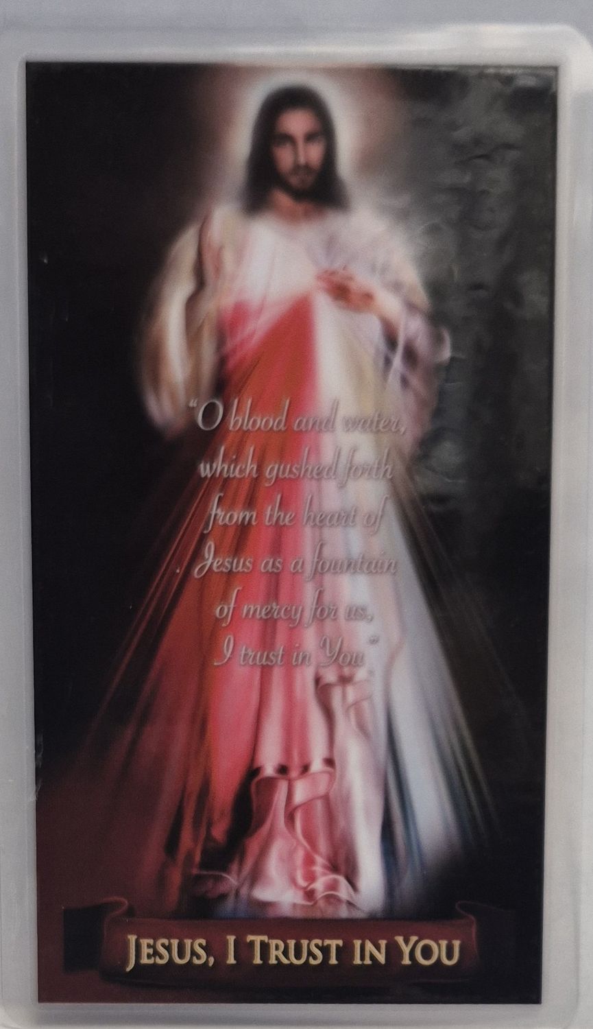        Divine Mercy Holy Card PC02 