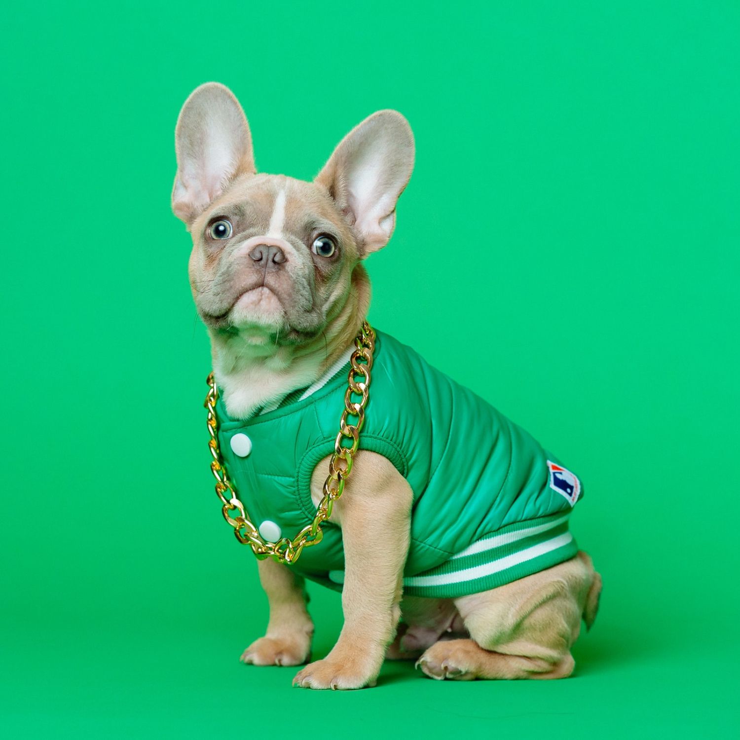 EXEMPLE. Veste sans manches verte pour chien