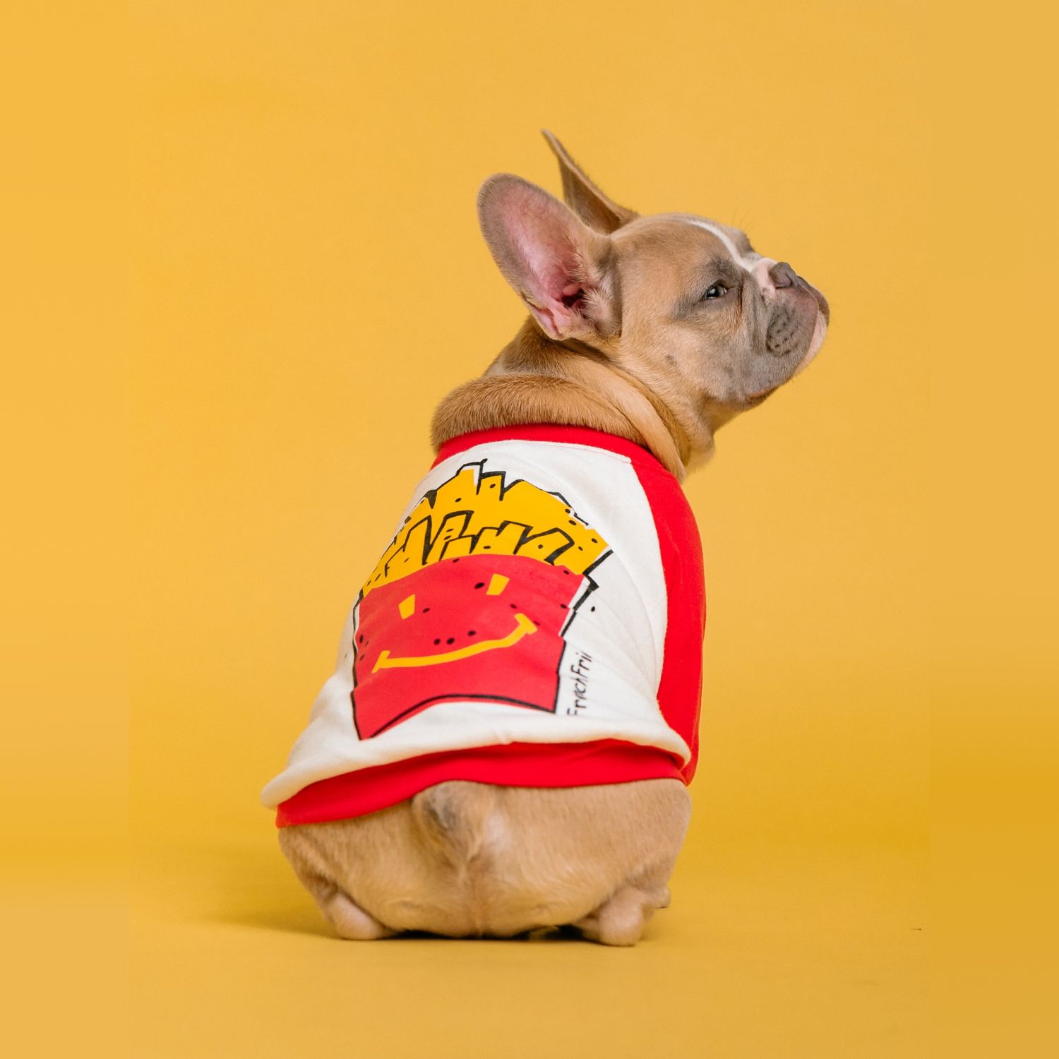 EXEMPLE. Costume de frite pour chien
