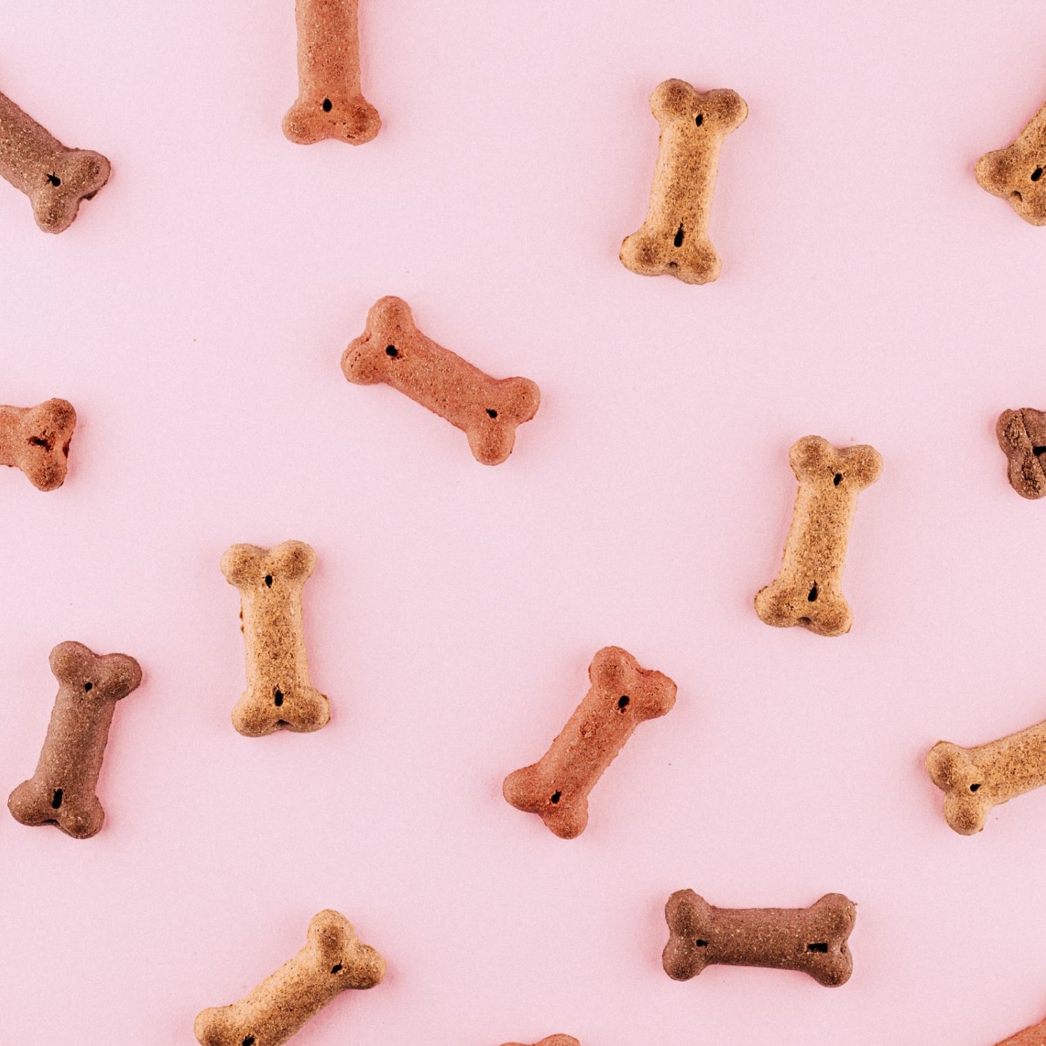 EXEMPLE. Petits os de gâterie pour chien