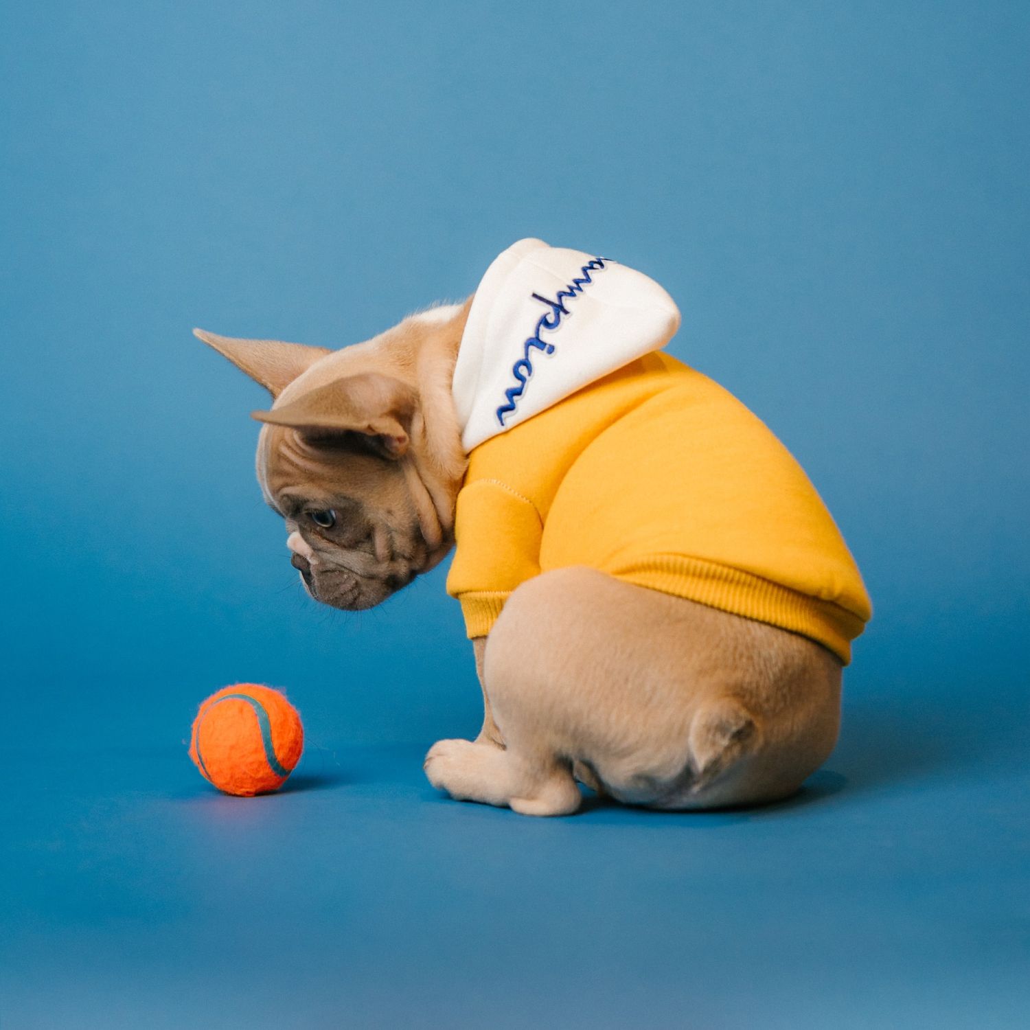 EXEMPLE. Costume de chien en coton jaune