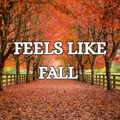 Feels Like Fall