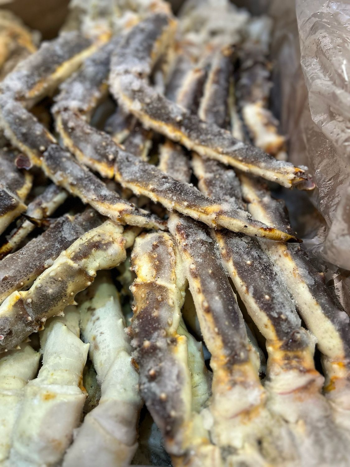 史上最大帝王蟹(Mandy)