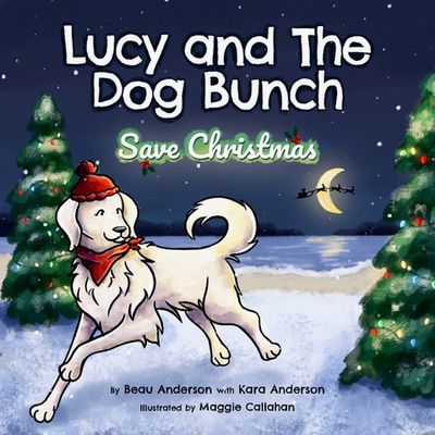 Save Christmas