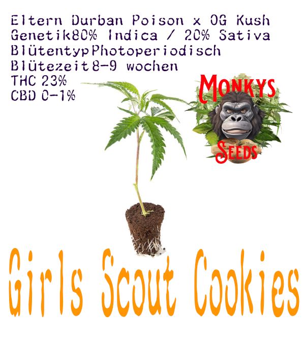 Girls Scouts Cookies Steckling