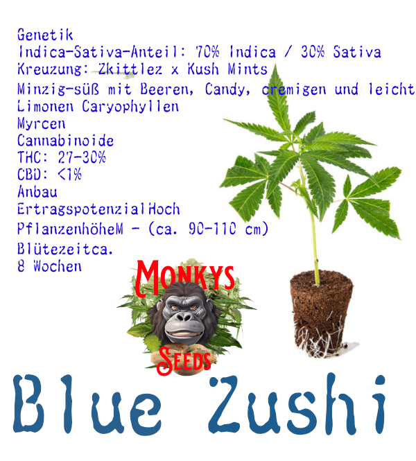 Blue Zushi