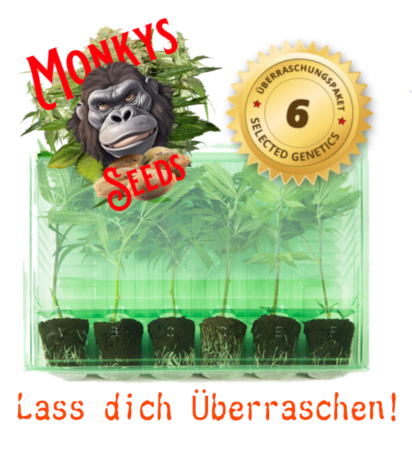 Überraschungspaket