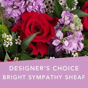 DC Bright Sympathy Sheaf