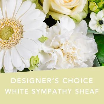 DC White Sympathy sheaf