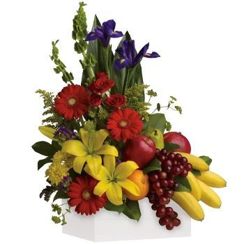 Fruit Dreams Gift Hamper