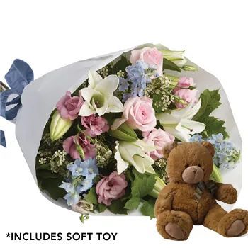 Wowee Pastel Flowers with Teddy