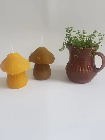 Mushroom Beeswax Candle