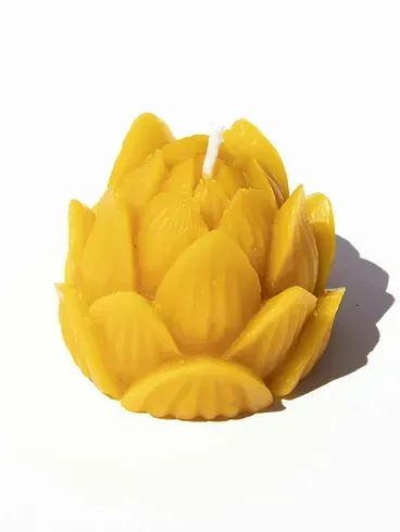 Closed lotus