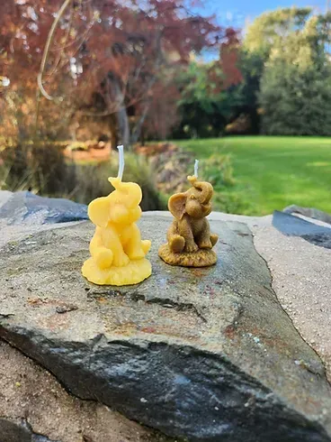 Elephant Beeswax candle