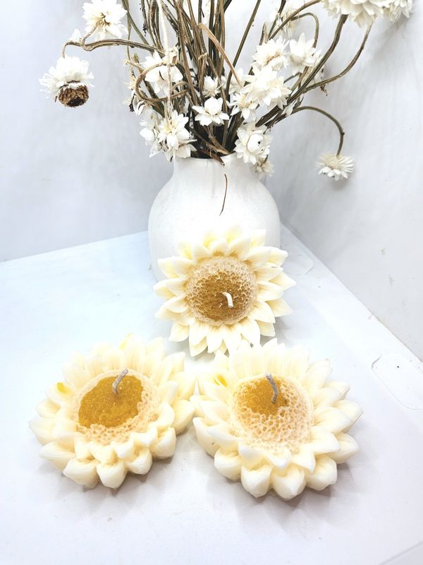 Soy candle daisy