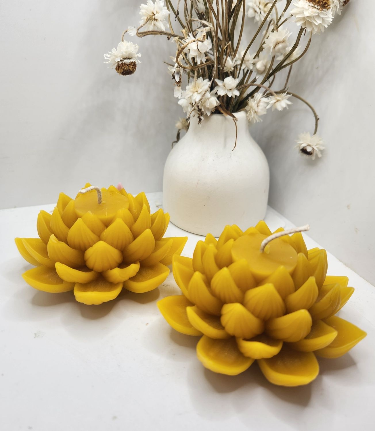 Open lotus Open lotus