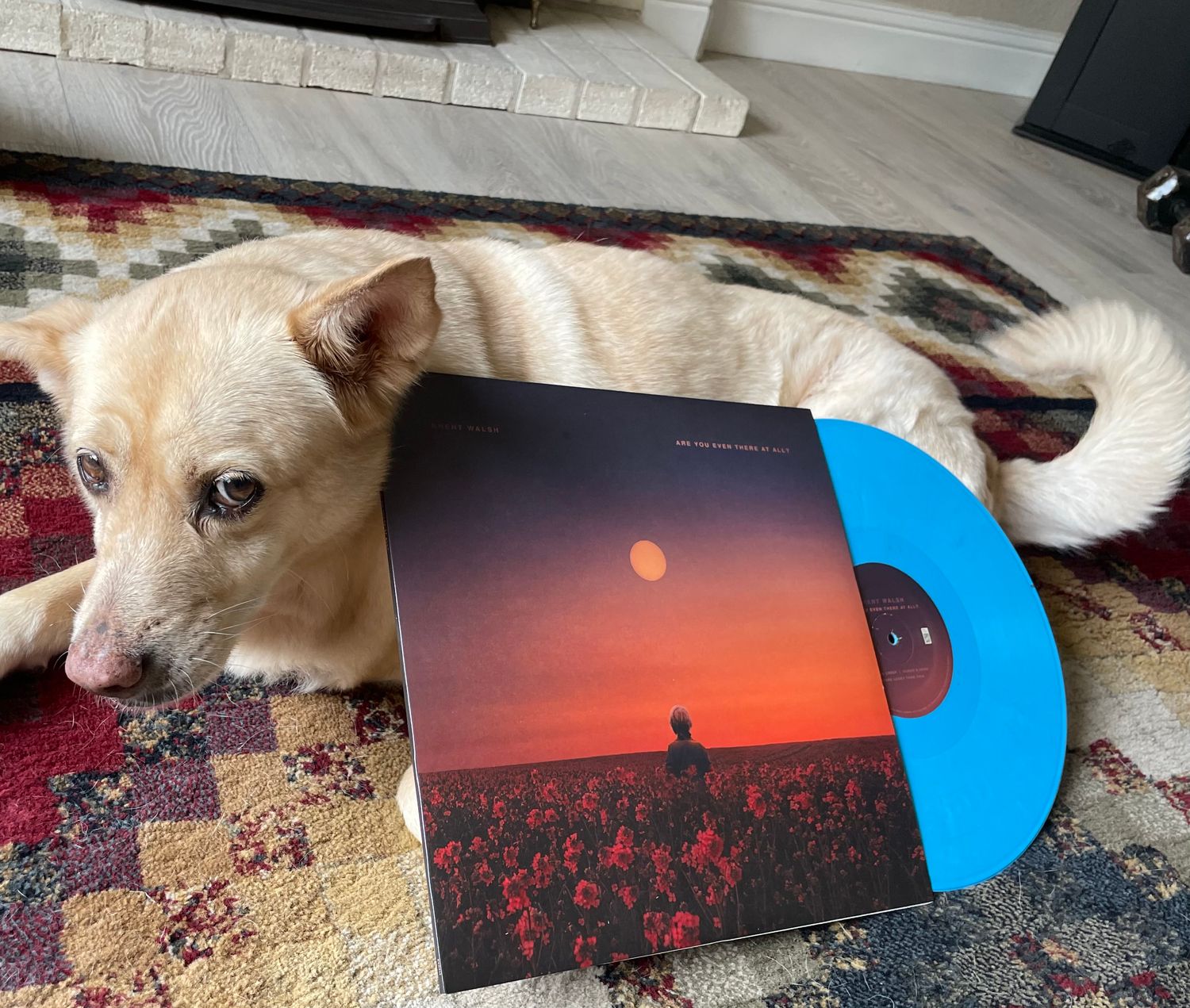Are You Even There At All - Vinyl