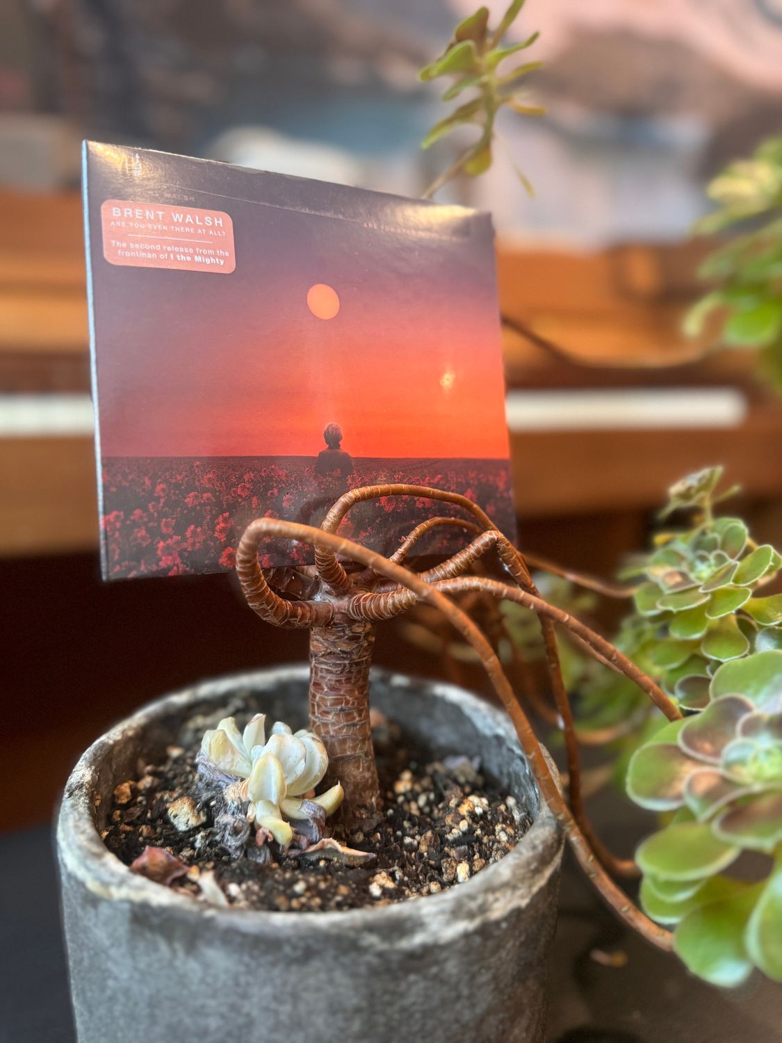 Are You Even There At All - CD