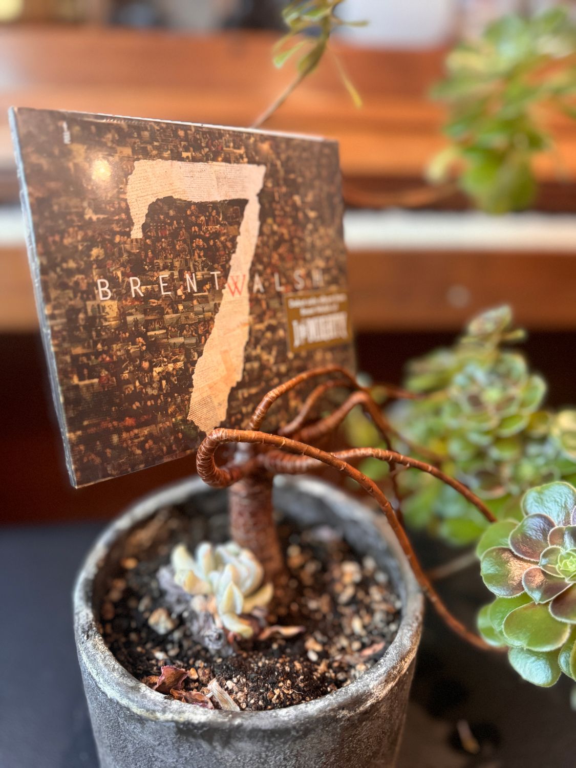 7 - CD